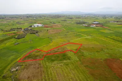 Сельхоз земля - 18572, photo 1