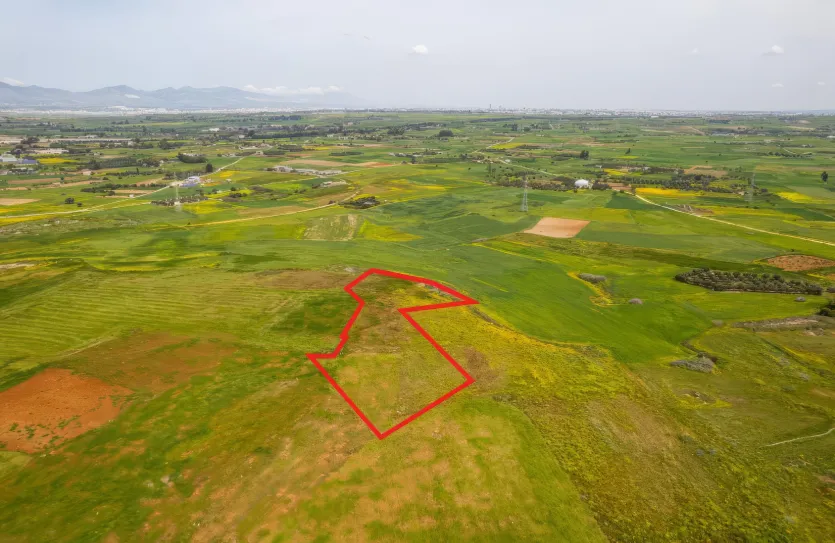 Сельхоз земля - 18572, photo 3