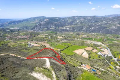 Сельхоз земля - 18574, photo 1