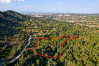 Agricultural land - 18577, photo 1