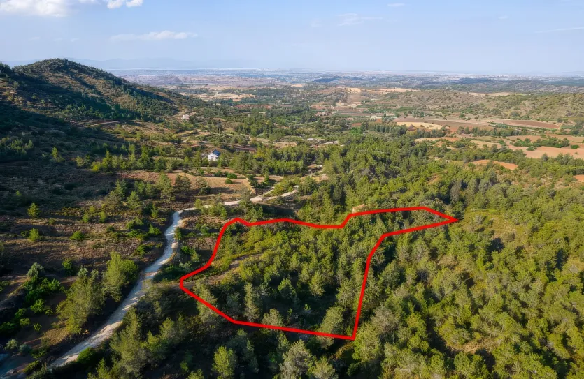 Agricultural land - 18577, photo 2