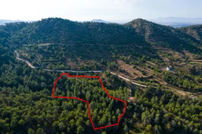 Agricultural land - 18577, photo 2