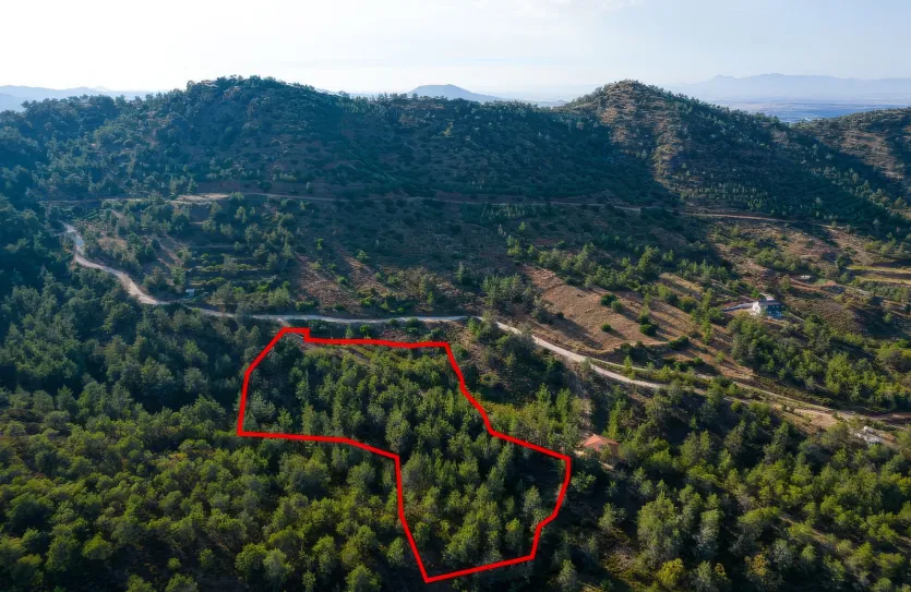 Agricultural land - 18577, photo 3