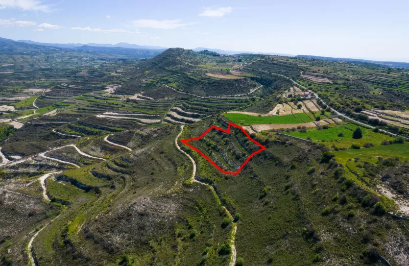 Сельхоз земля - 18575, photo 2