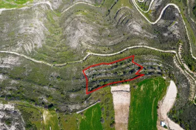 Сельхоз земля - 18575, photo 2