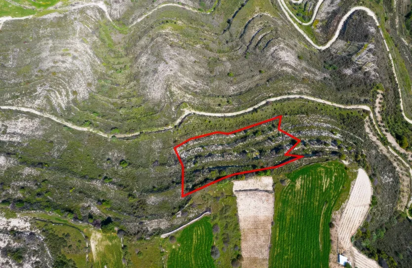 Сельхоз земля - 18575, photo 3