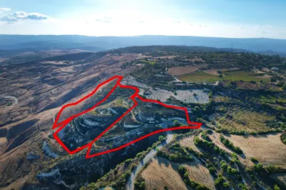 Сельхоз земля - 18496, photo 1