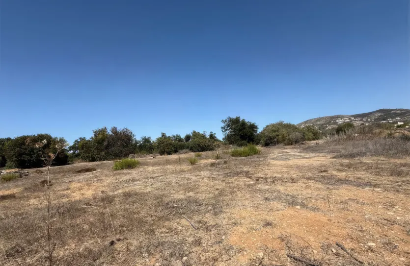 Земельный участок - 18690, photo 2