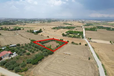 Участок для жилой застройки - 18412, photo 1