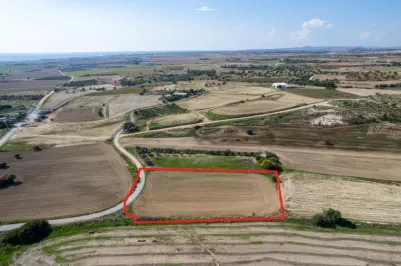 Residential plot - 18419, photo 2