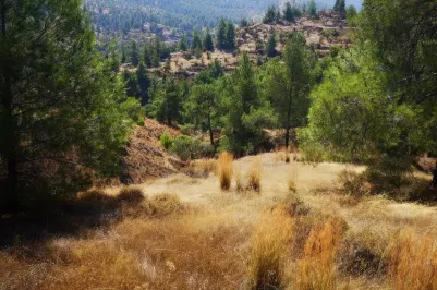 Участок для жилой застройки - 18433, photo 1