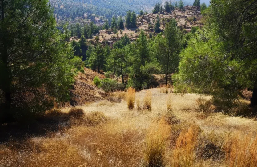 Участок для жилой застройки - 18433, photo 2