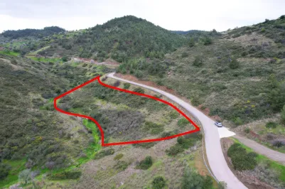 Земельный участок - 18431, photo 1