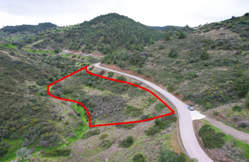 Земельный участок - 18431, photo 2