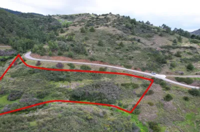 Земельный участок - 18431, photo 2