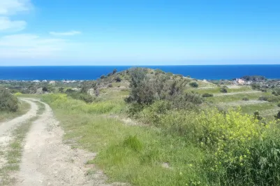 Участок для жилой застройки - 18441, photo 1