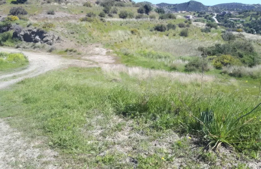 Участок для жилой застройки - 18441, photo 3