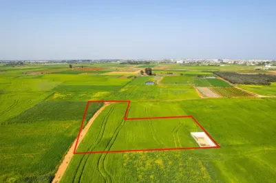 Residential plot - 18444, photo 1