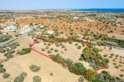 Residential plot - 18467, photo 1