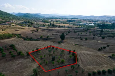 Участок для жилой застройки - 18475, photo 1