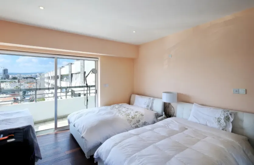 3-bedroom penthouse - 18806, photo 6