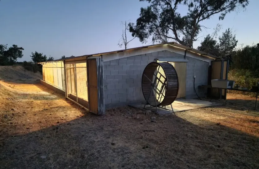 3-bedroom villa - 18851, photo 14