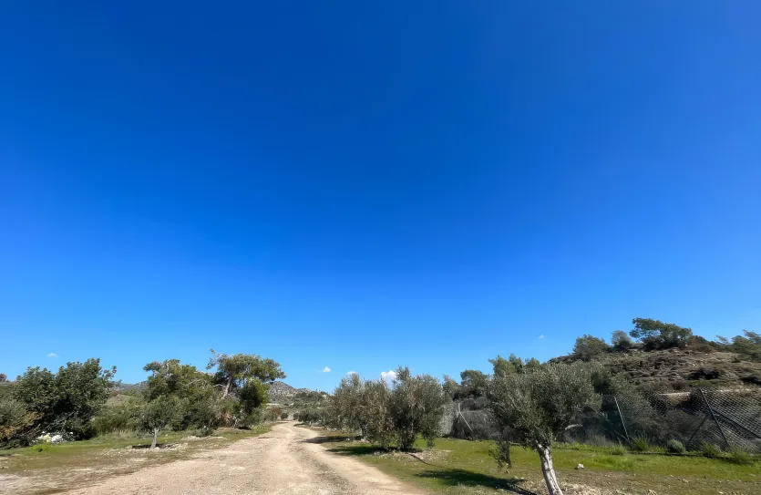 3-bedroom villa - 18851, photo 17