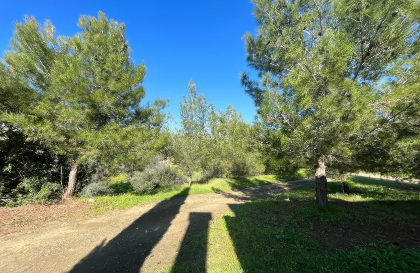 3-bedroom villa - 18851, photo 18