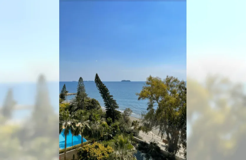 4-bedroom apartment - 12873, photo 12