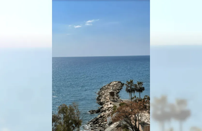 4-bedroom apartment - 12873, photo 13