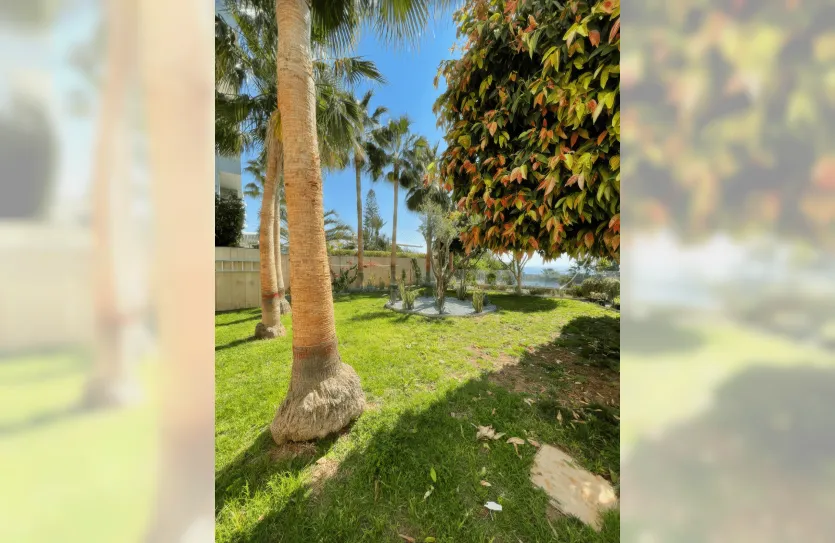 4-bedroom apartment - 12873, photo 16