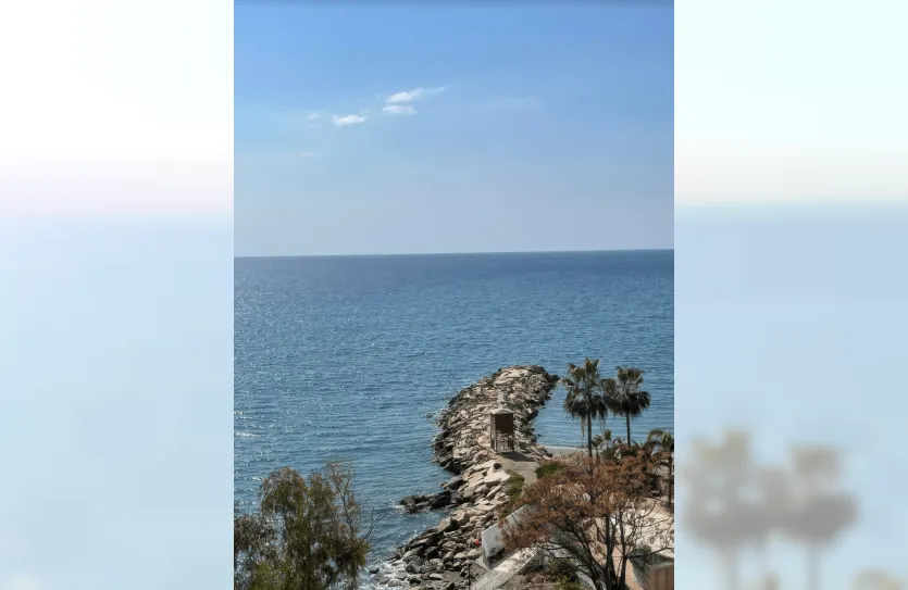 4-bedroom apartment - 13833, photo 64