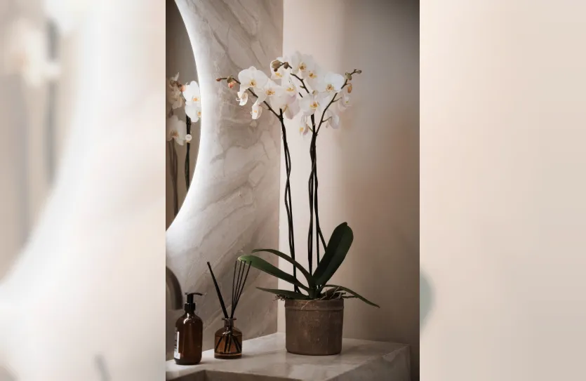 4-bedroom apartment - 13833, photo 31