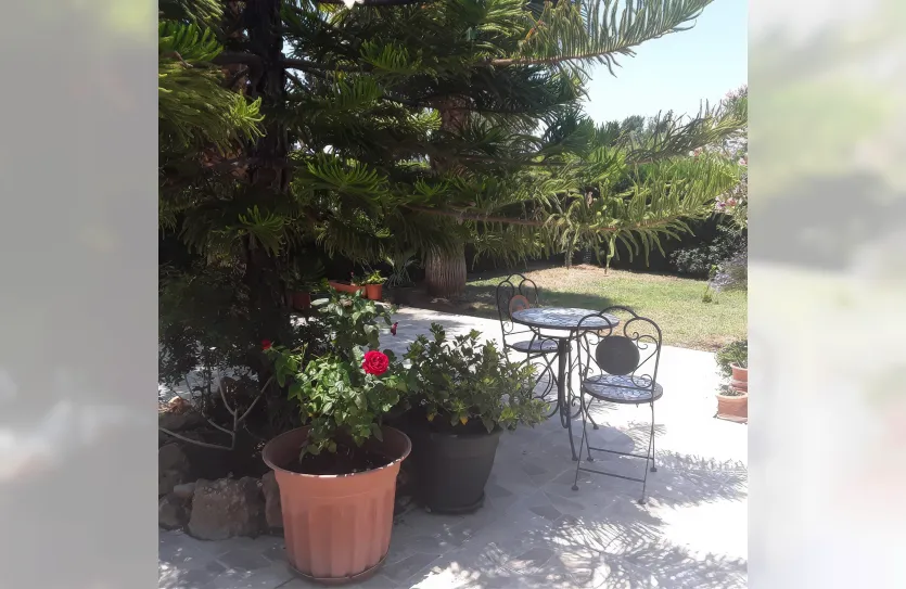 4-bedroom apartment - 13882, photo 4