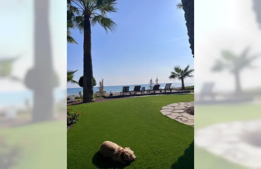 6-bedroom villa - 14213, photo 3