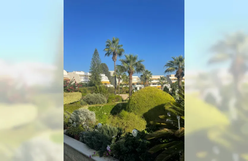 Квартира с 3-мя спальнями - 14046, photo 3