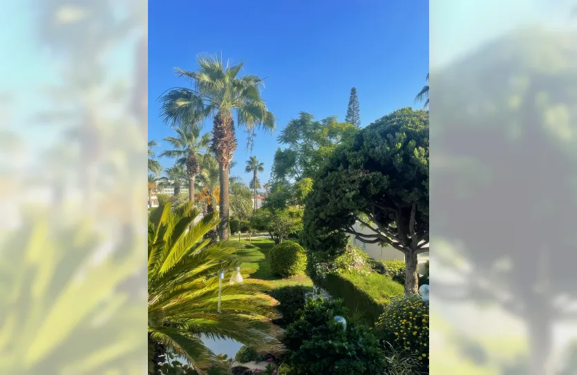 Квартира с 3-мя спальнями - 14046, photo 8