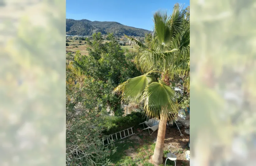 4-bedroom villa - 14420, photo 24