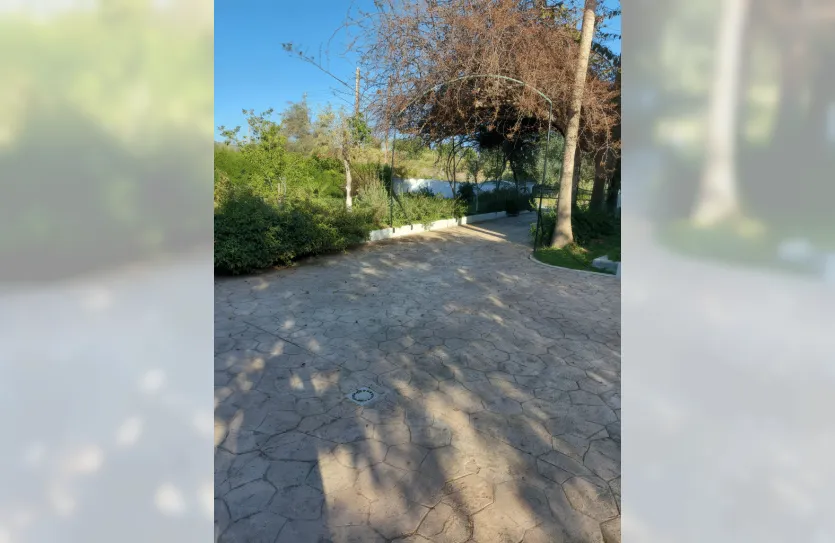 4-bedroom villa - 14420, photo 23