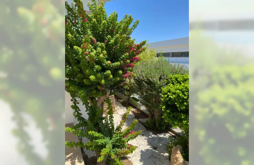 3-bedroom villa - 14731, photo 7