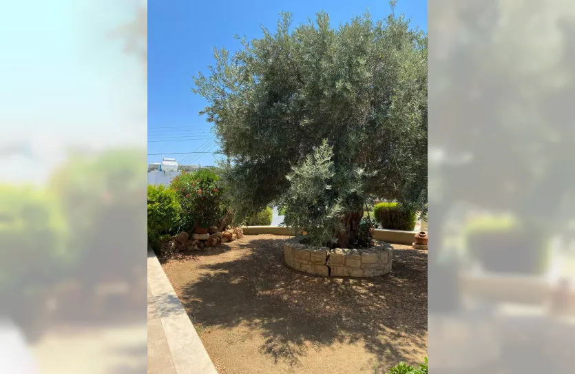 3-bedroom villa - 14731, photo 28