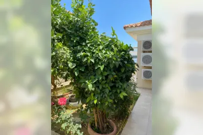 3-bedroom villa - 14731, photo 1