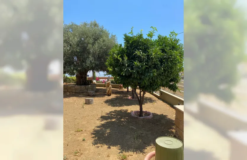 3-bedroom villa - 14731, photo 27