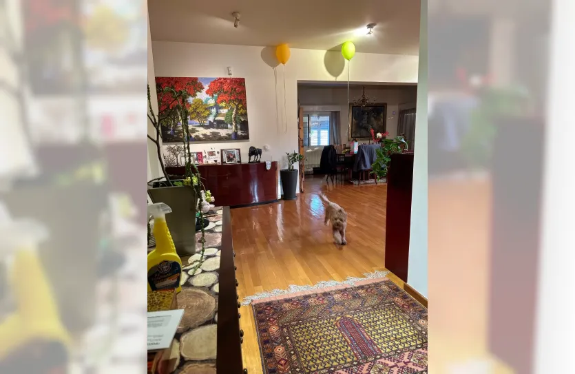 Дом с 5-ю спальнями - 14734, photo 4