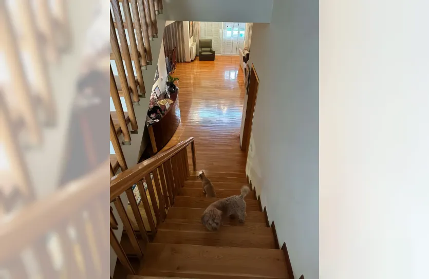 Дом с 5-ю спальнями - 14734, photo 6