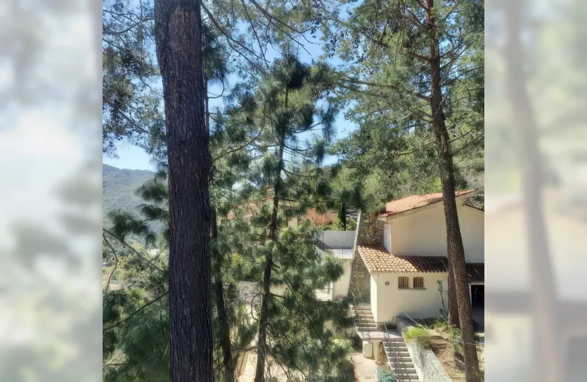 4-bedroom villa for sale - 14814