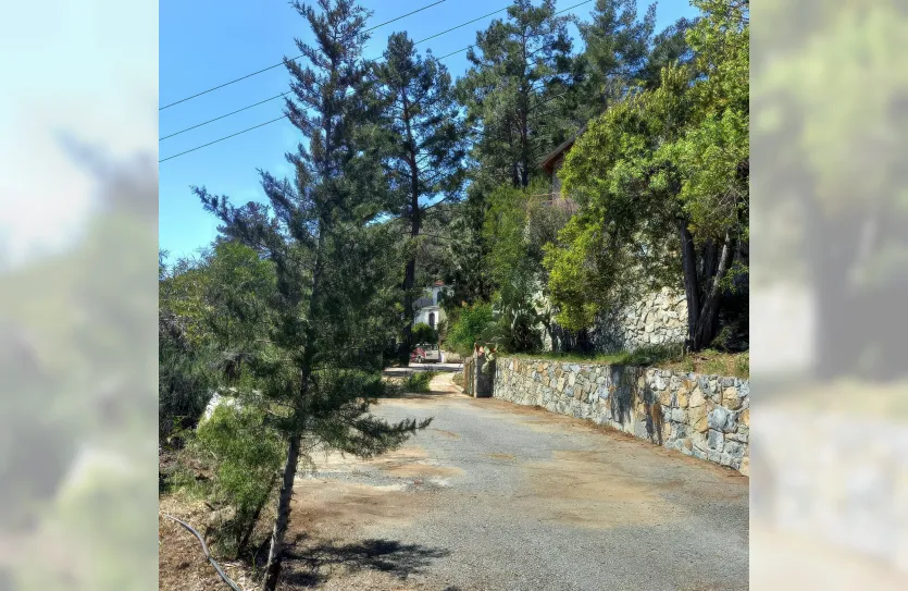 4-bedroom villa - 14814, photo 3