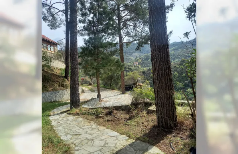 4-bedroom villa - 14814, photo 19