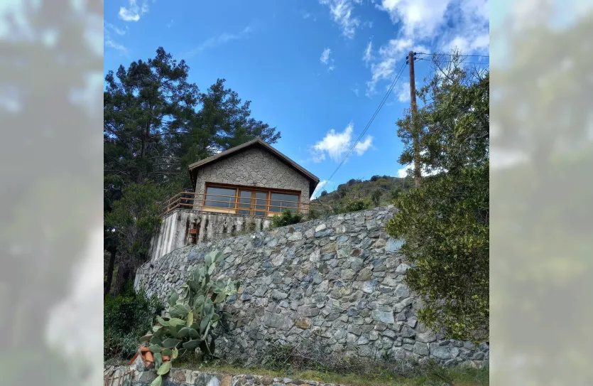 4-bedroom villa - 14814, photo 18