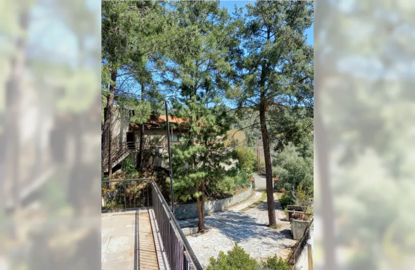 4-bedroom villa - 14814, photo 26